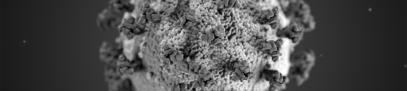 Corona virus up close.